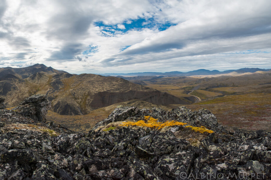 black rocks with yellow moss with road going towards the horizon, yukon Canada landscape scenery