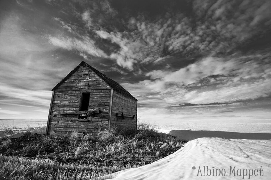 Old grain shed in snow covered field, Alberta landscape, black and white